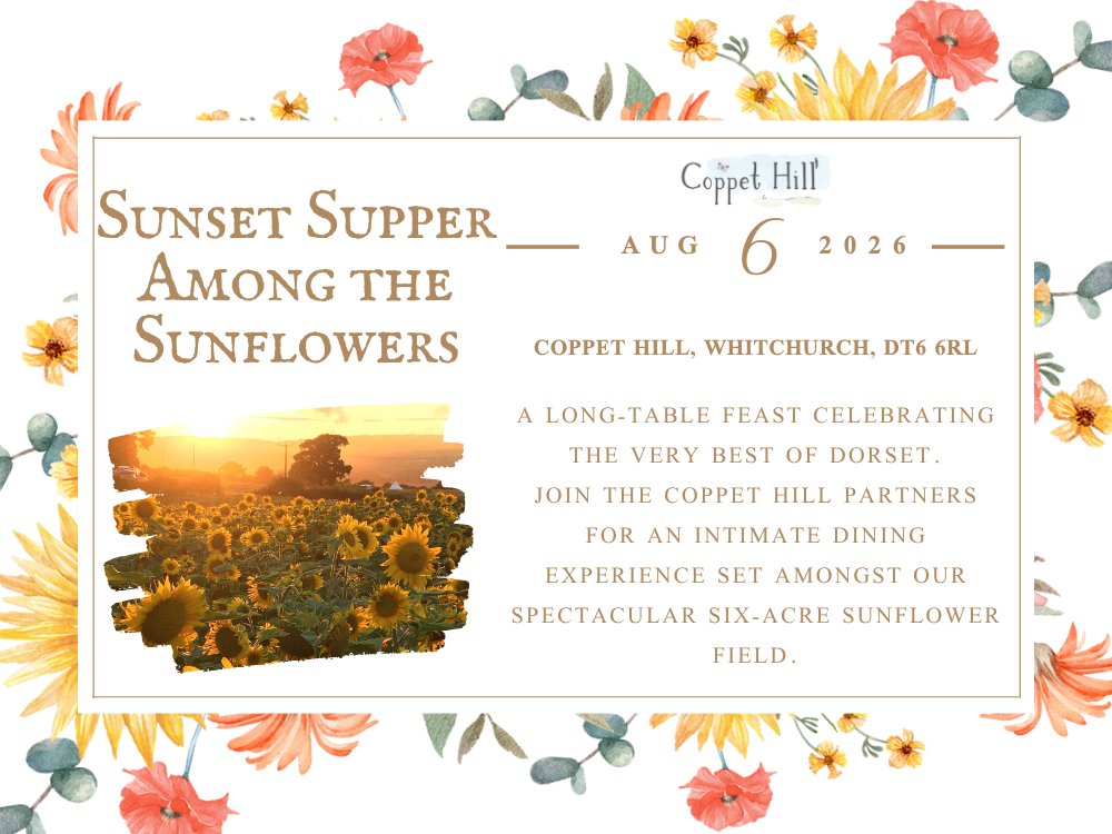 Sunset Supper Among the Sunflowers